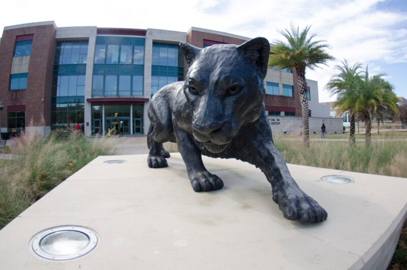 pv-panther Prairie View A&M University